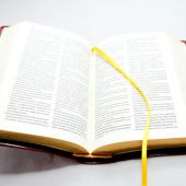 Библия каноническая 035 (коричневая, мягкий переплет, золотой обрез, изд. 1996)